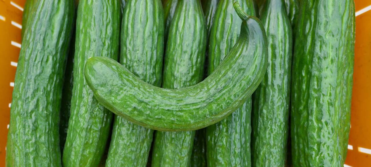Voll im Trend: Gurken-Influencer sorgt für Knappheit in Island