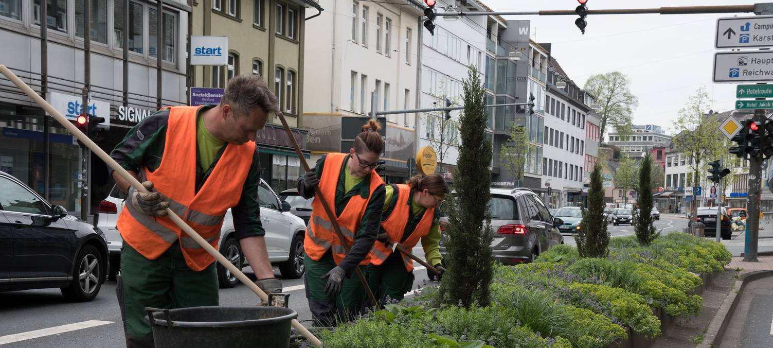 Siegen wird immer grüner