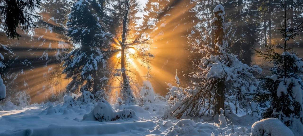 Berleburger Fotograf ausgezeichnet