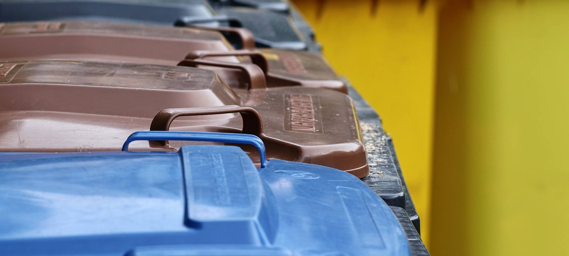 Zu viel Störstoffe im Biomüll