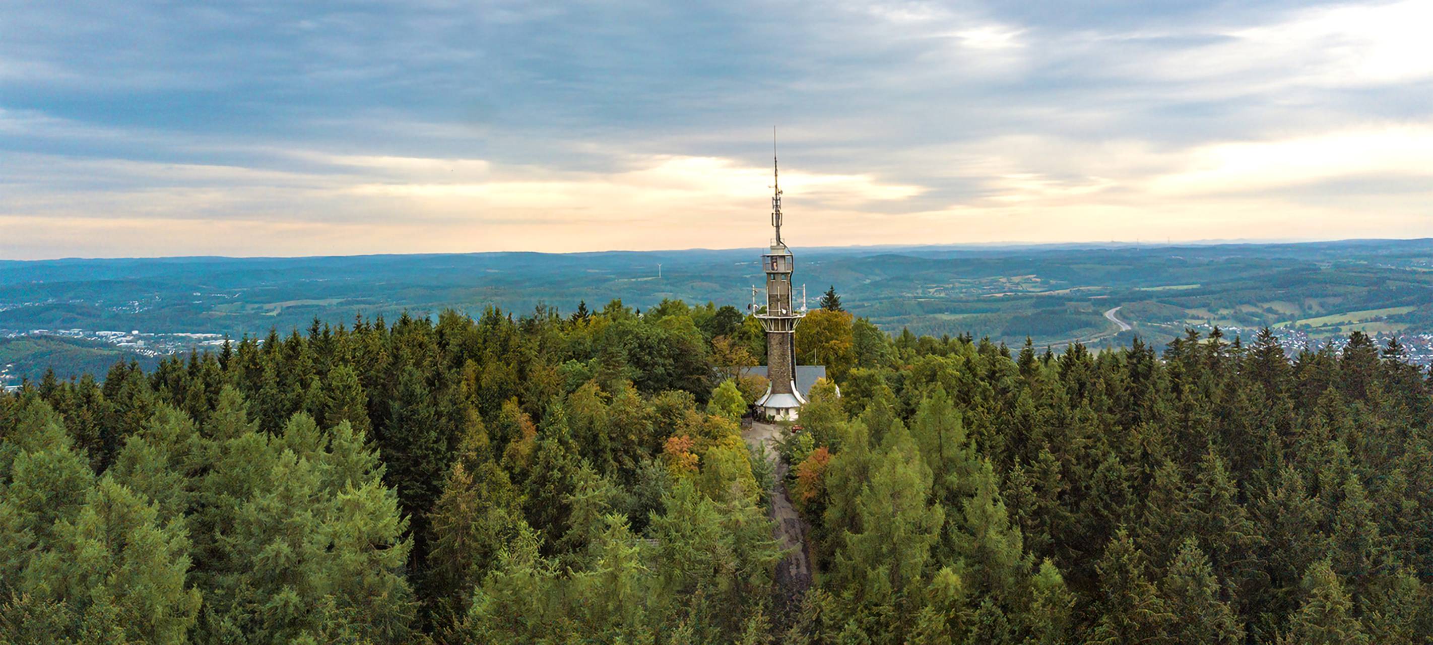 Krombacher pflanzt 400.000 Bäume