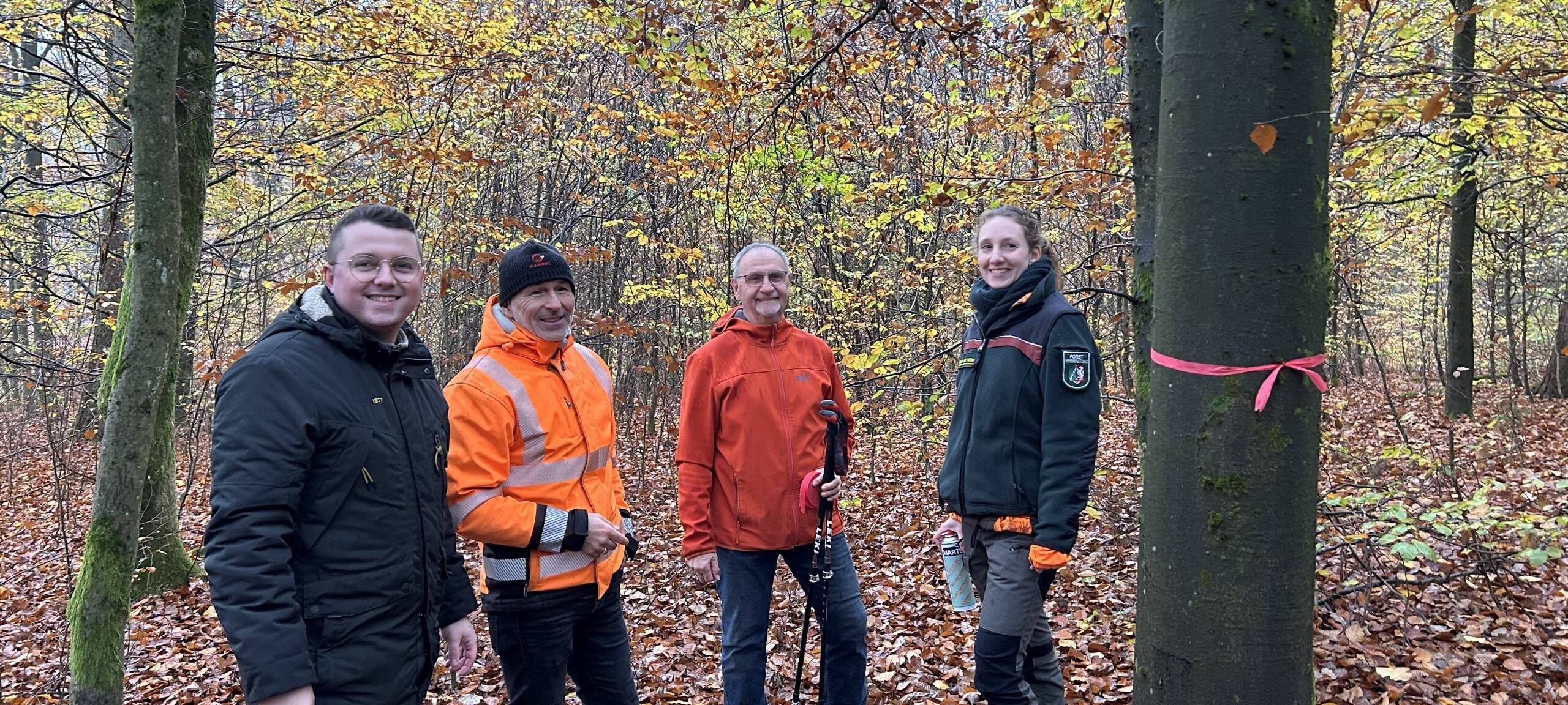 Bestattungswald für Wilnsdorf