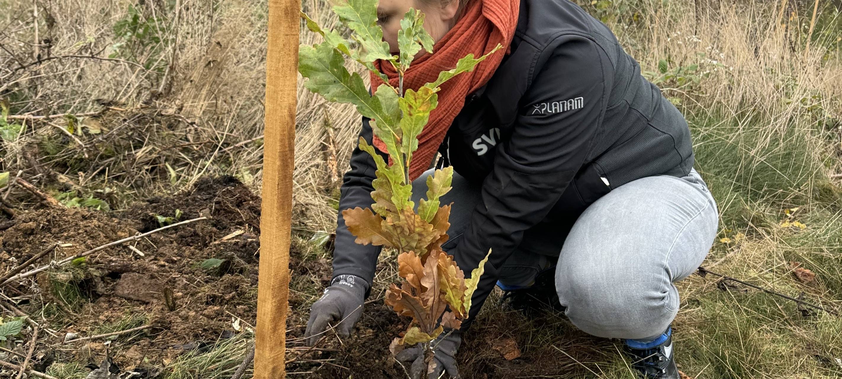 Neuer Wald für Unglinghausen