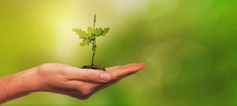 Über 80 Kinder in Erndtebrück zu Klimabotschaftern ausgebildet