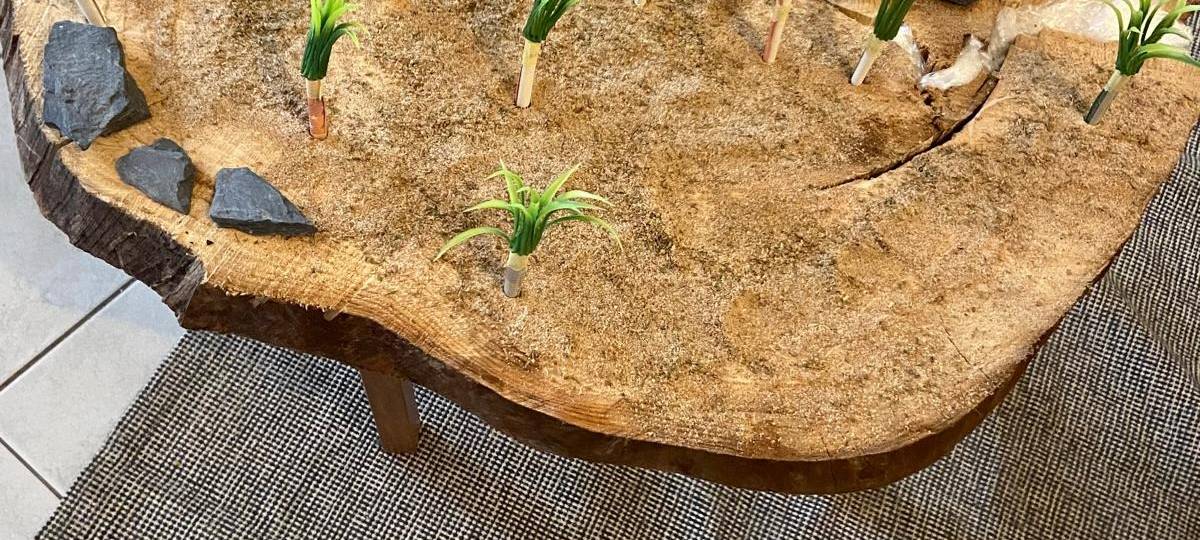 Kreative Geldgeschenke - Inspiration aus dem Seelbacher Bastelladen