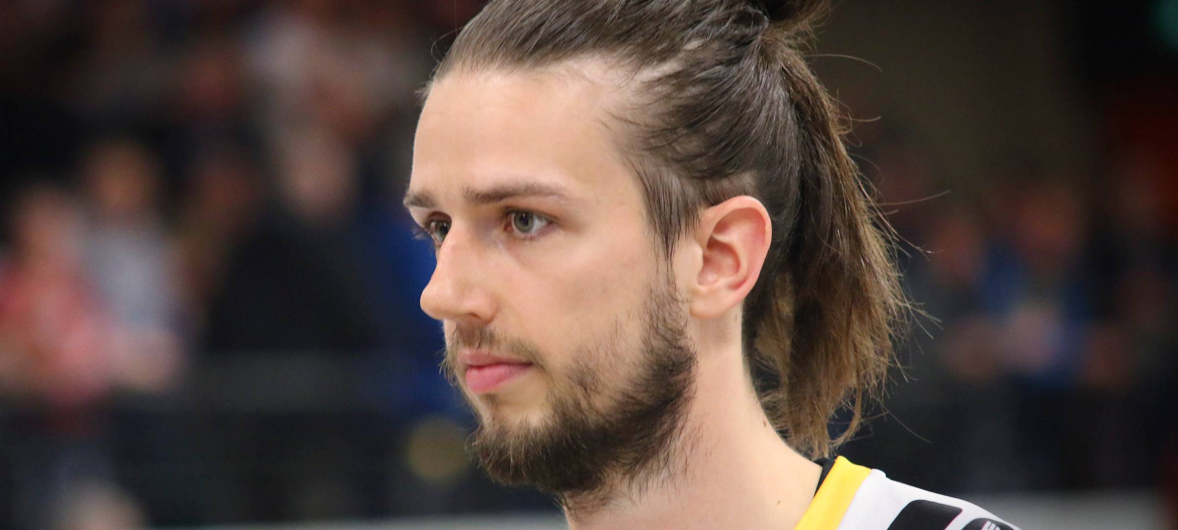 2. Handball-Liga