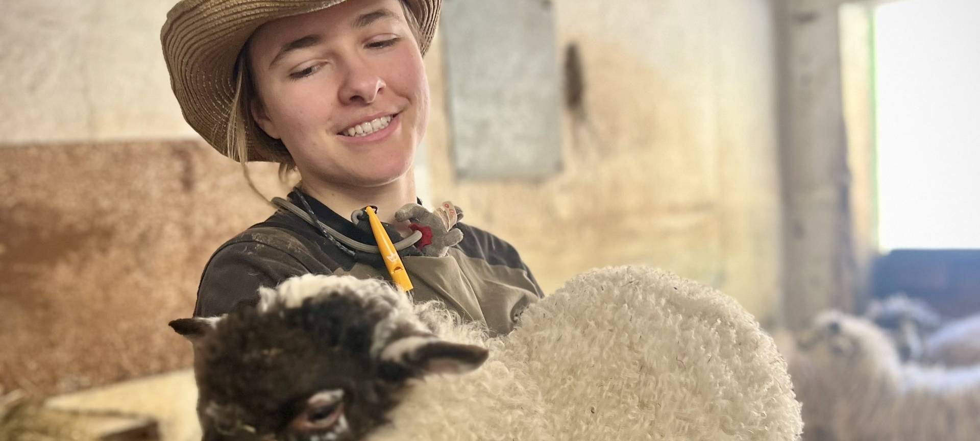 Wie ist die Lage im Tierpark in Niederfischbach?