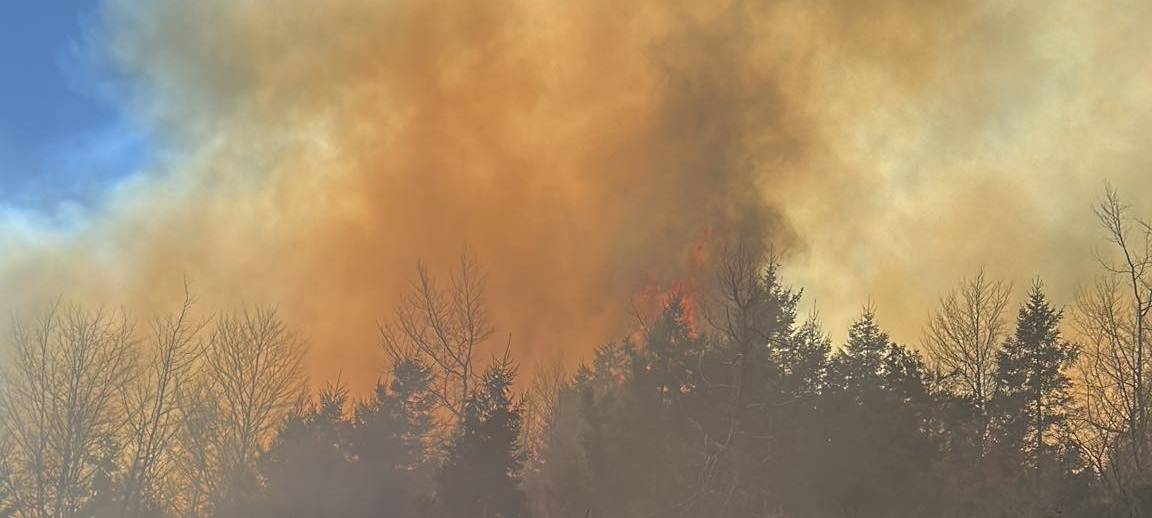 In Feudingen hat auf 40.000 Quadratmetern der Wald gebrannt.