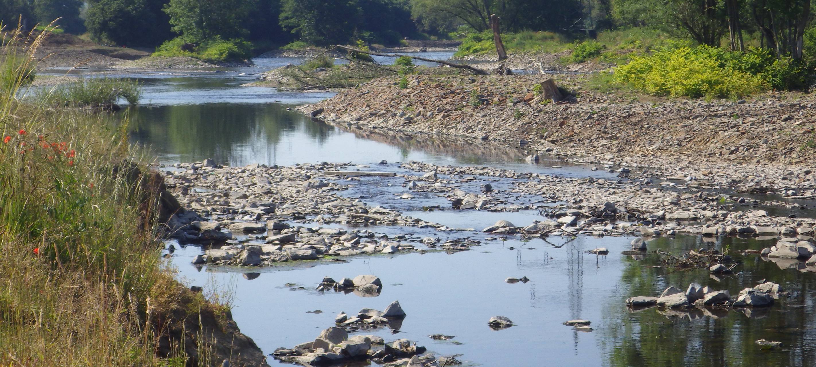 Anhaltende Trockenheit