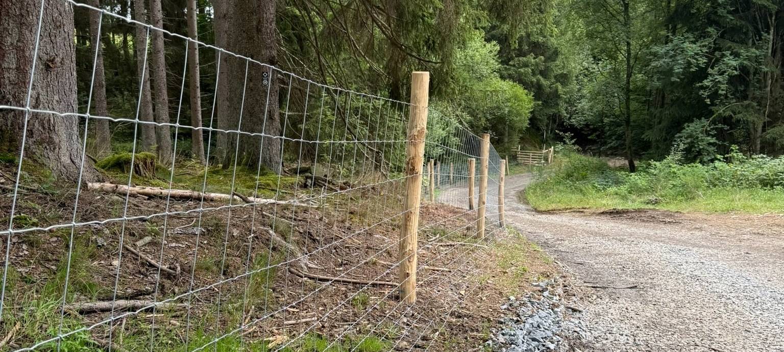 Schweinepestzaun ist fertig