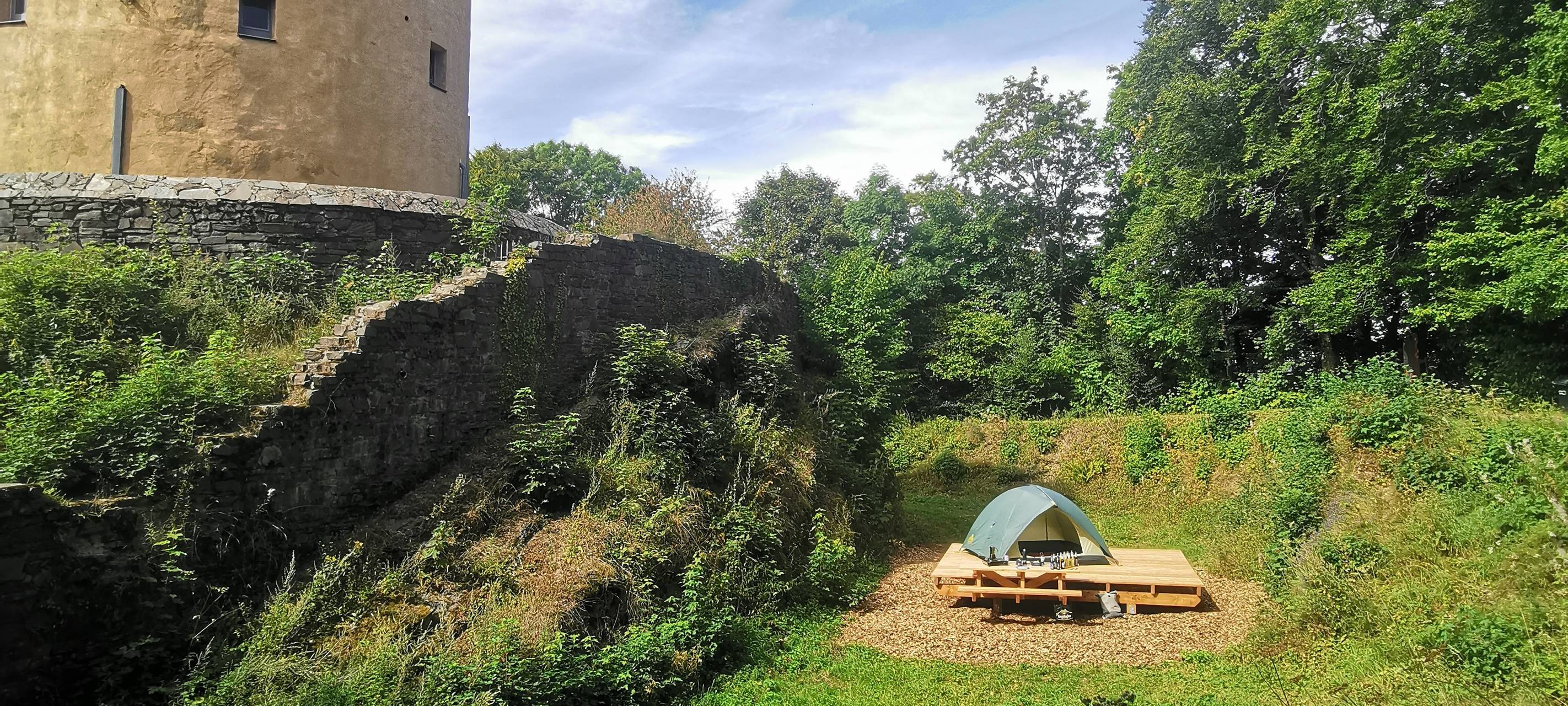 Schweinepest hat Auswirkungen aufs Campen
