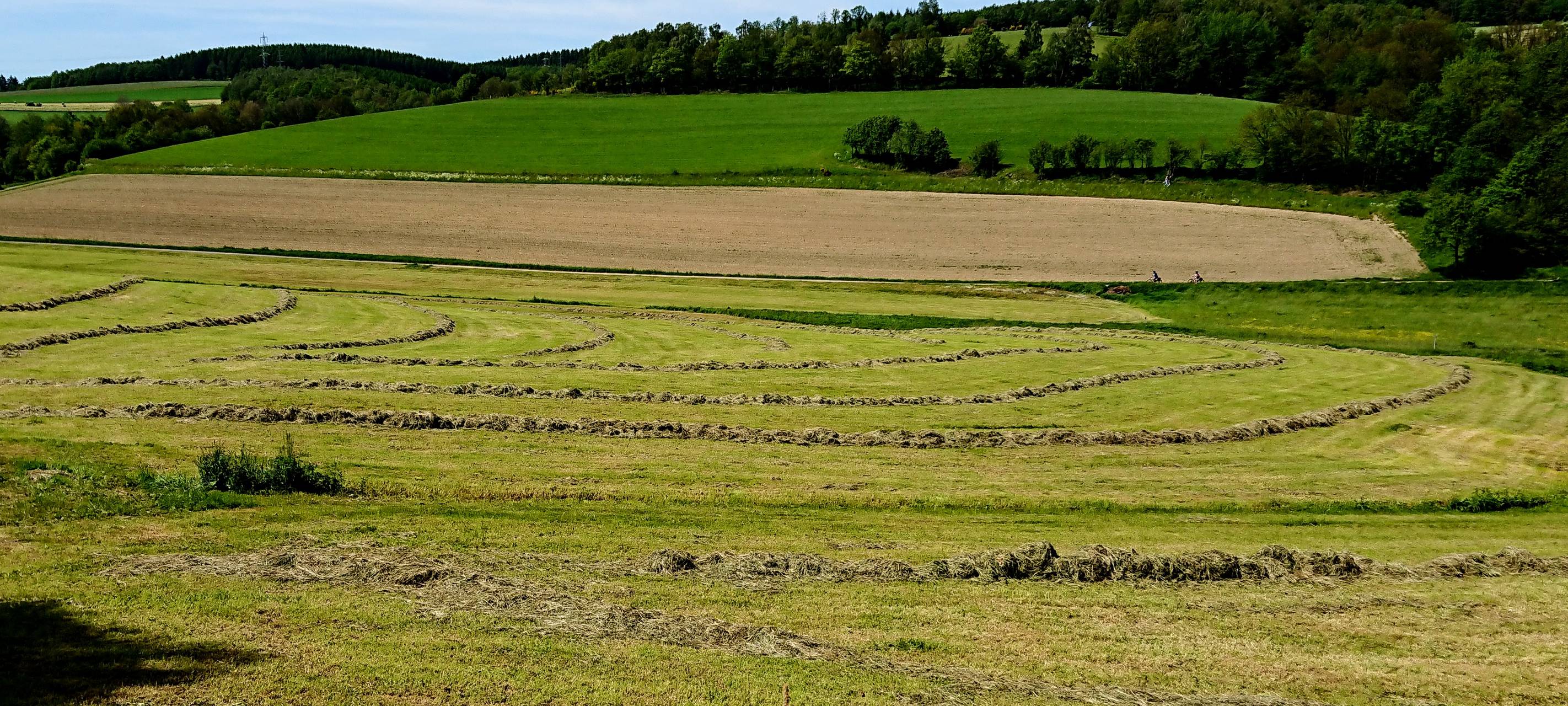 Für Landwirte in Siegen-Wittgenstein steht der erste Grasschnitt an