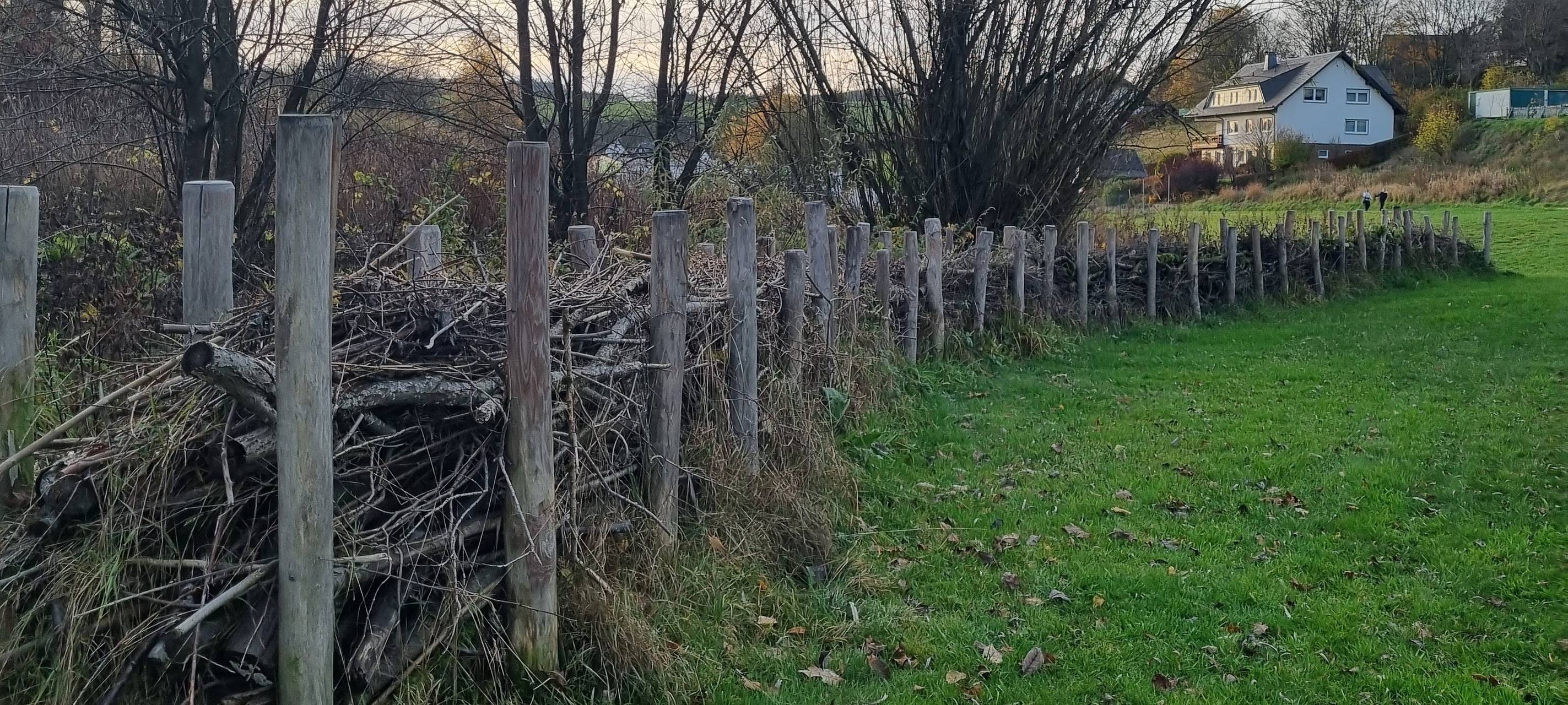 Klimaschutzpreis geht nach Birkelbach