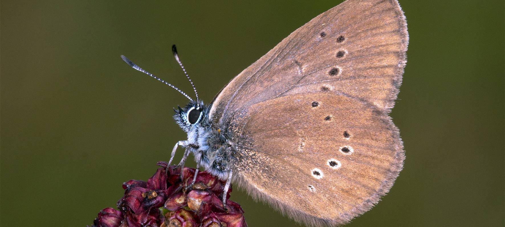 Baustopp an der B 62