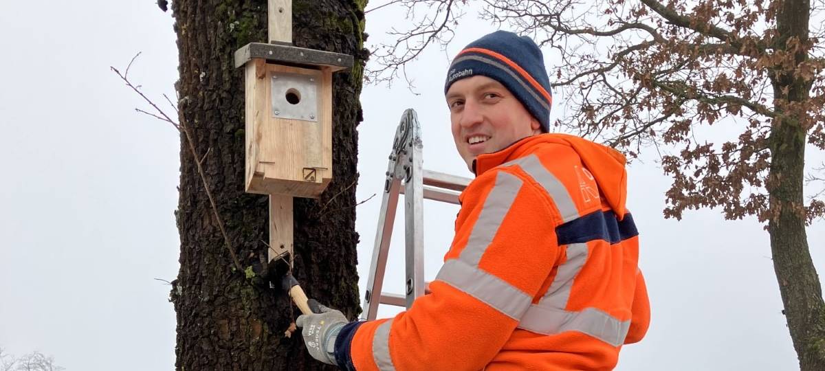Autobahnmeisterei setzt auf Vögel gegen Spinner