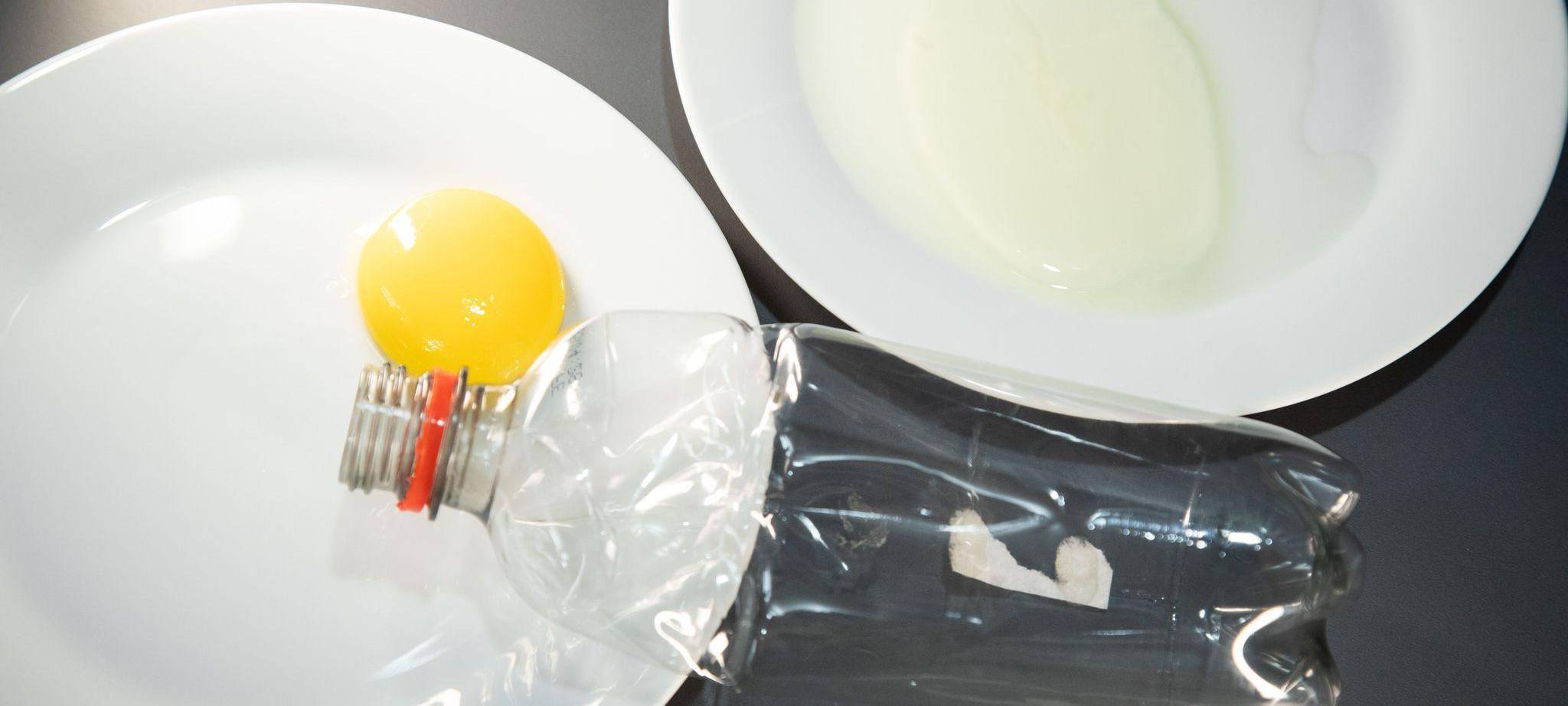 Eigelb und Eiweiß sind auf getrennten Tellern zu sehen