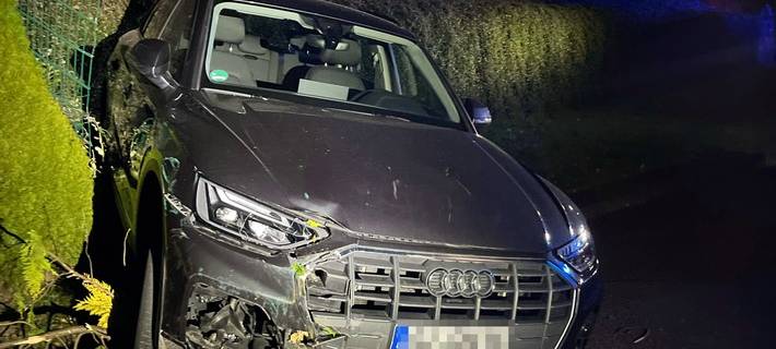 Der Audi kam auf dem abgeknickten Lebensbaum zum Stehen.