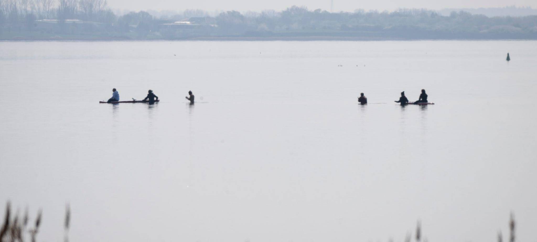 Rettungsaktion für den Buckelwal