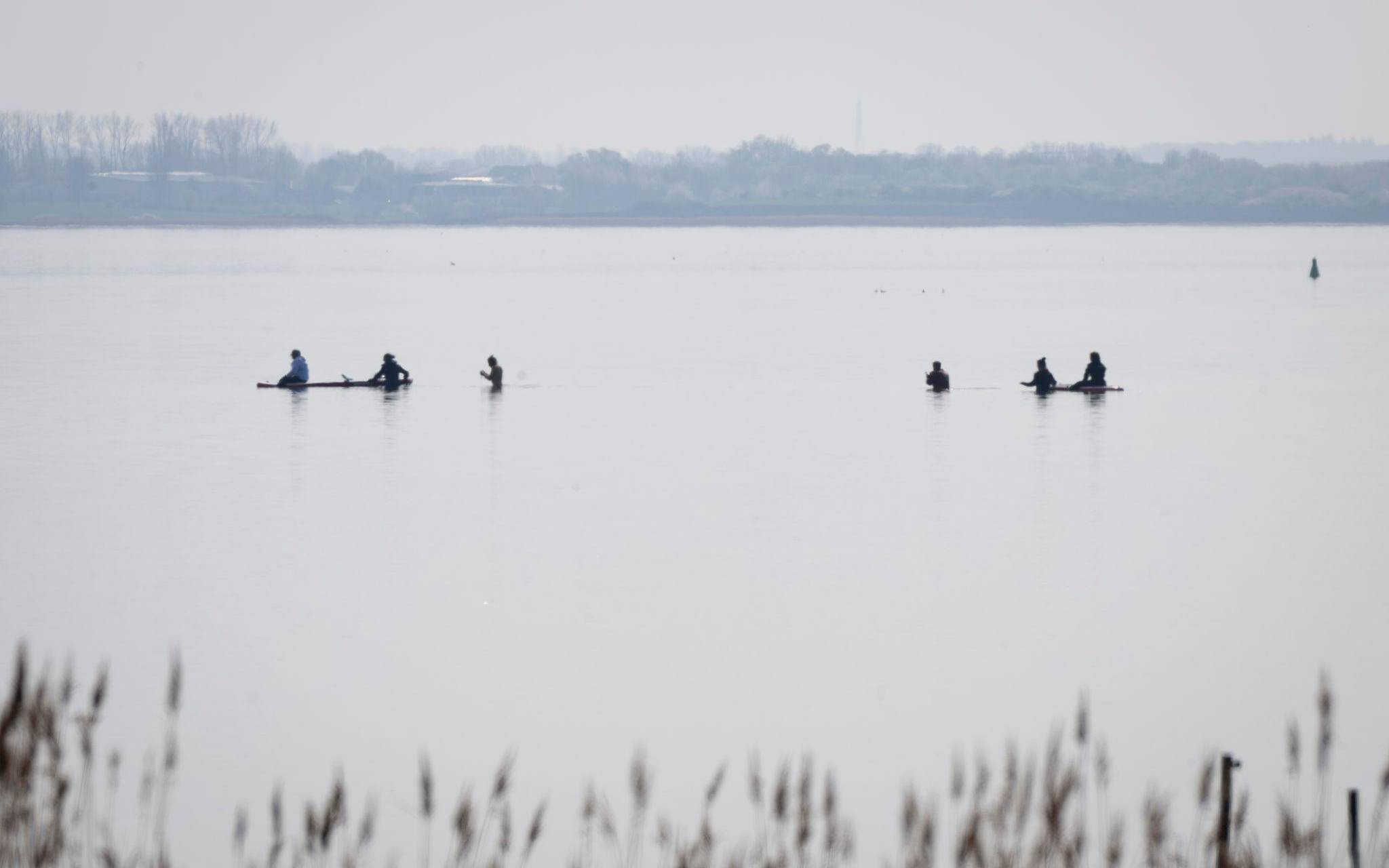 Rettungsaktion für den Buckelwal