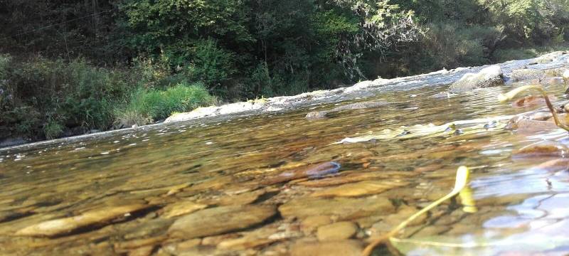 Geschichten vom Fluss - die Sieg, die Lahn, die Eder