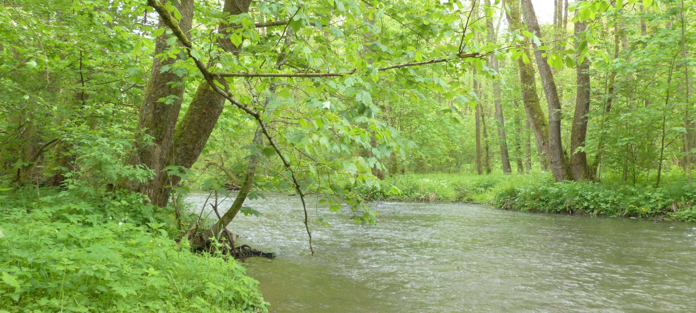 Geschichten vom Fluss - die Sieg, die Lahn, die Eder