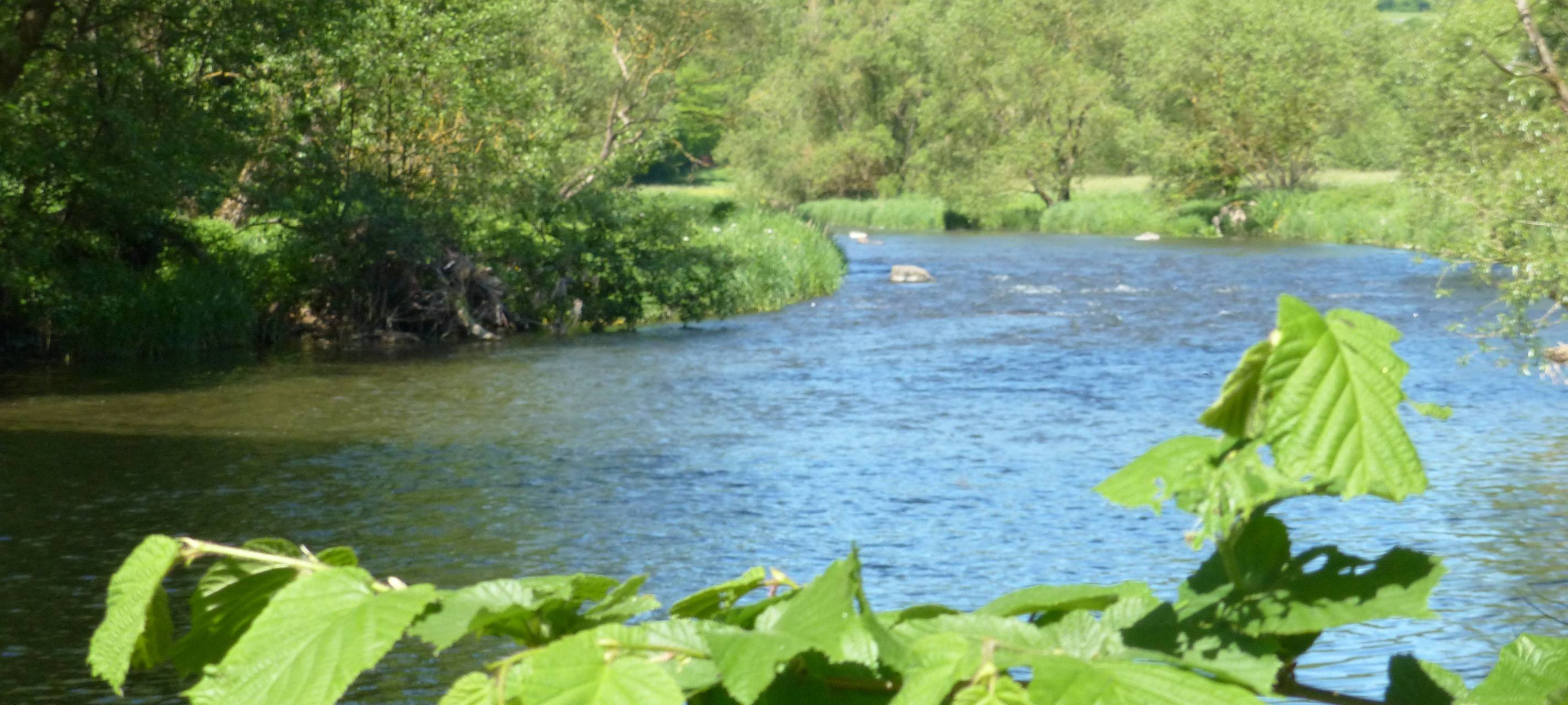 Geschichten vom Fluss - die Sieg, die Lahn, die Eder