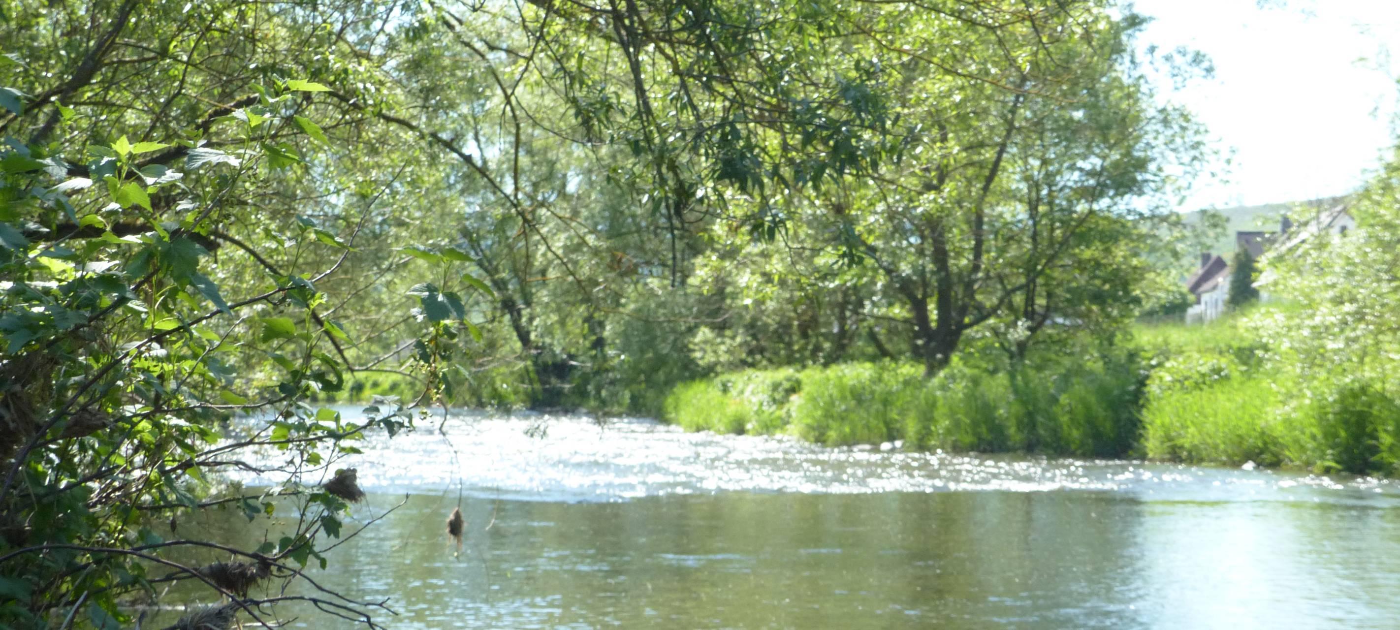 Geschichten vom Fluss - die Sieg, die Lahn, die Eder