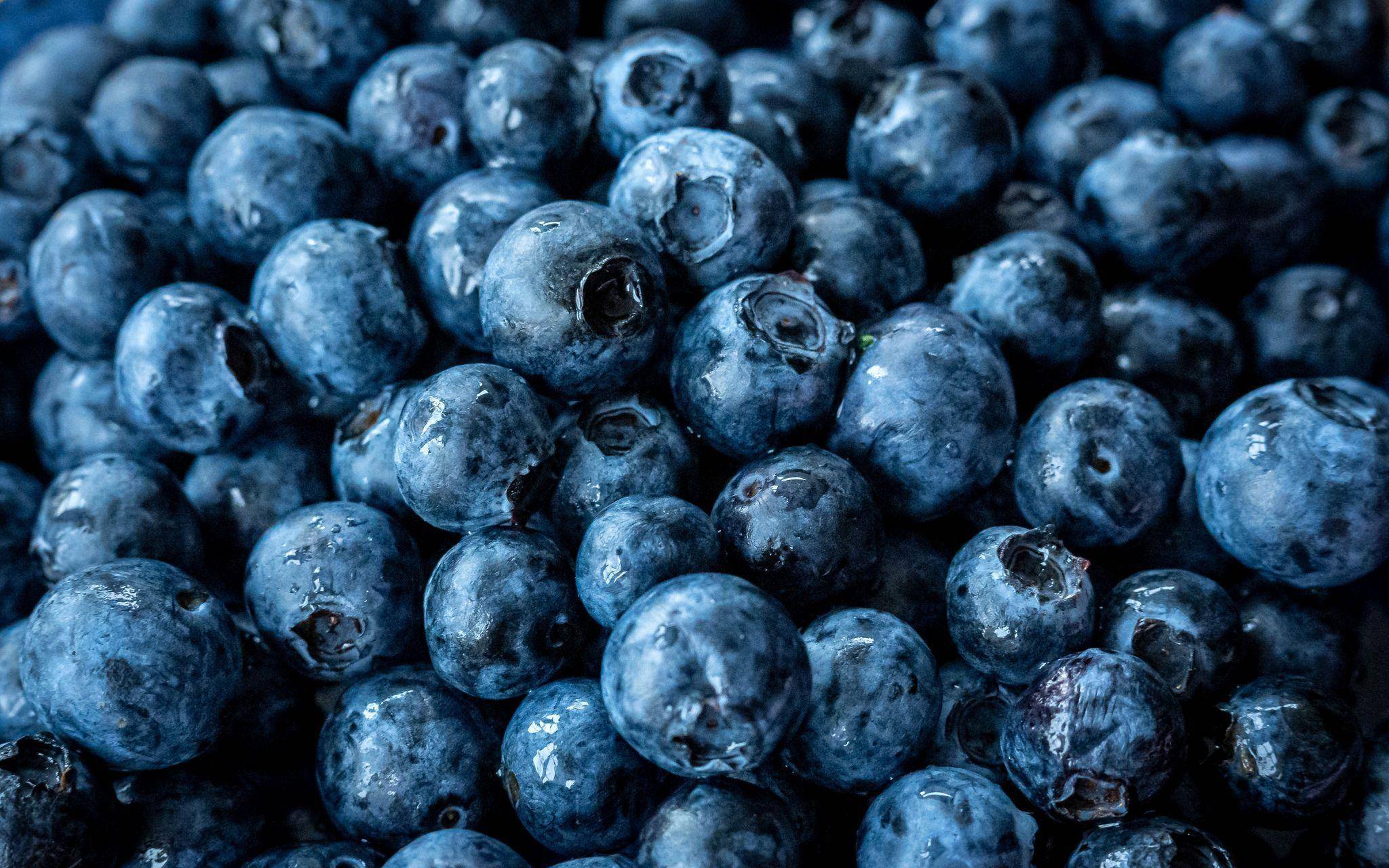Heidelbeeren