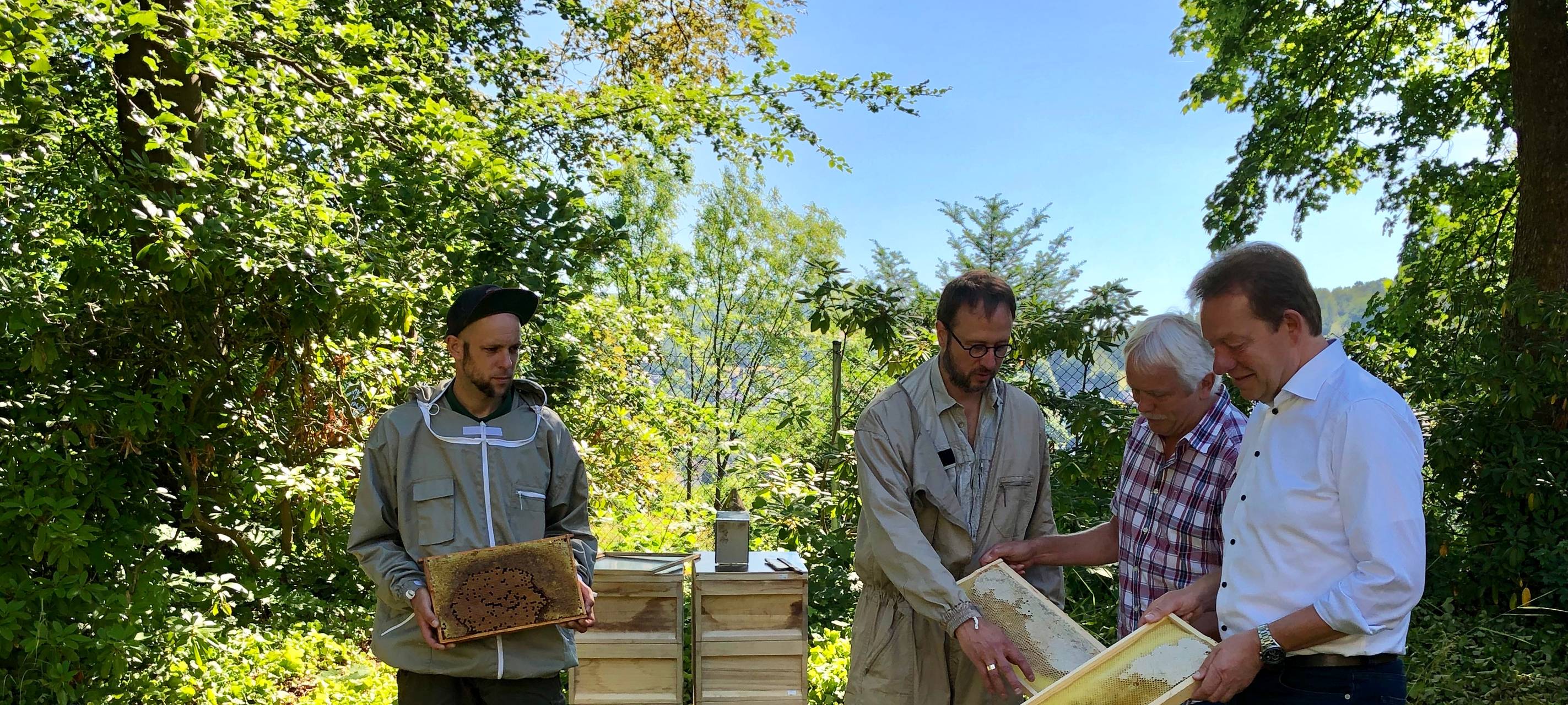 Bienenvölker am Oberen Schloss waren fleißig
