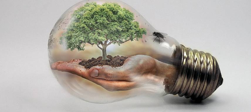 Dietrich-Bonhoeffer-Gymnasium in Neunkirchen bekommt Klimaschutzpreis