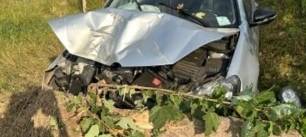 Der verunfallte VW Golf kam mit dem umgefahrenen Baum unterhalb der Böschung zum Stehen.