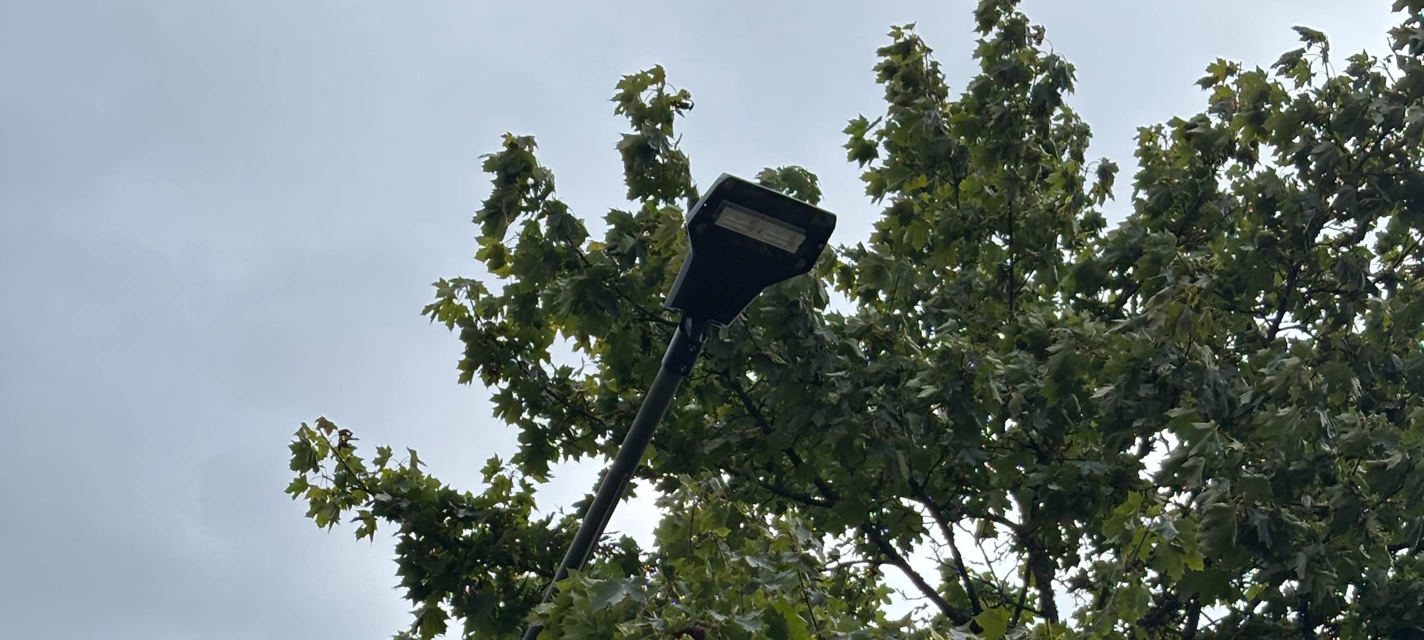 So sehen die neuen Lampen aus.