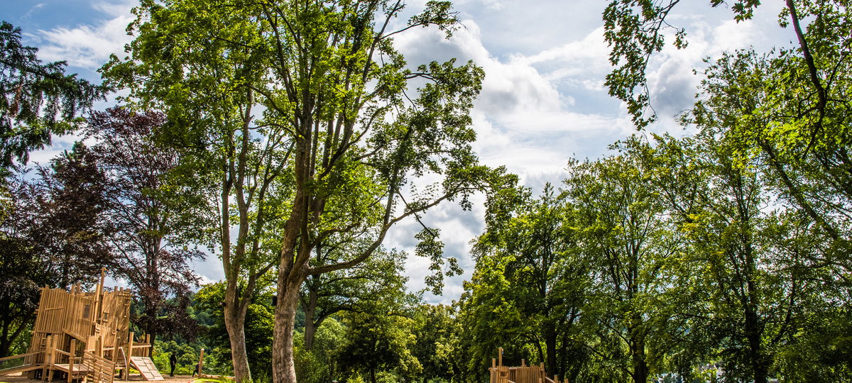Abenteuerspielplatz im Siegener Schlosspark nimmt an Fotowettbewerb teil