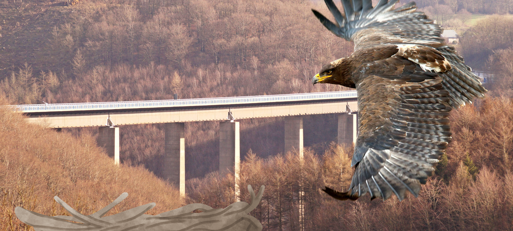 Steppenadler verzögert Sprengung der gesperrten A45-Talbrücke "Rahmede" bei Lüdenscheid