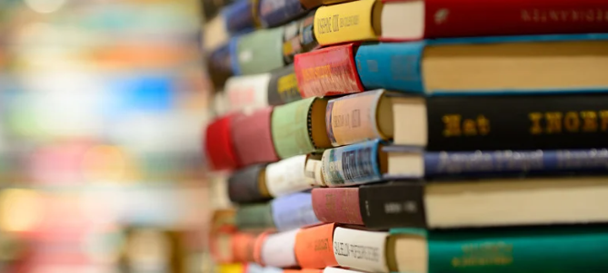 Gutes Jahr für Stadtbibliothek
