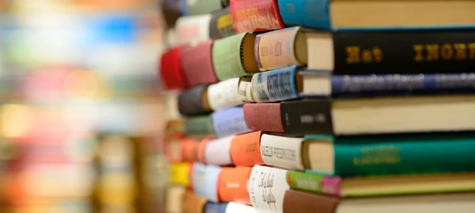 Erfolgreiches Jahr für Freudenberger Bücherei