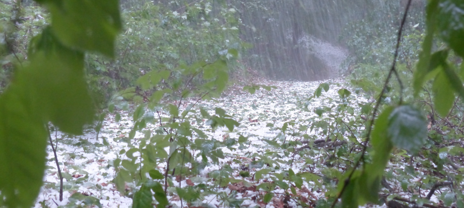 Unwetter-Bilanz in Siegen-Wittgenstein