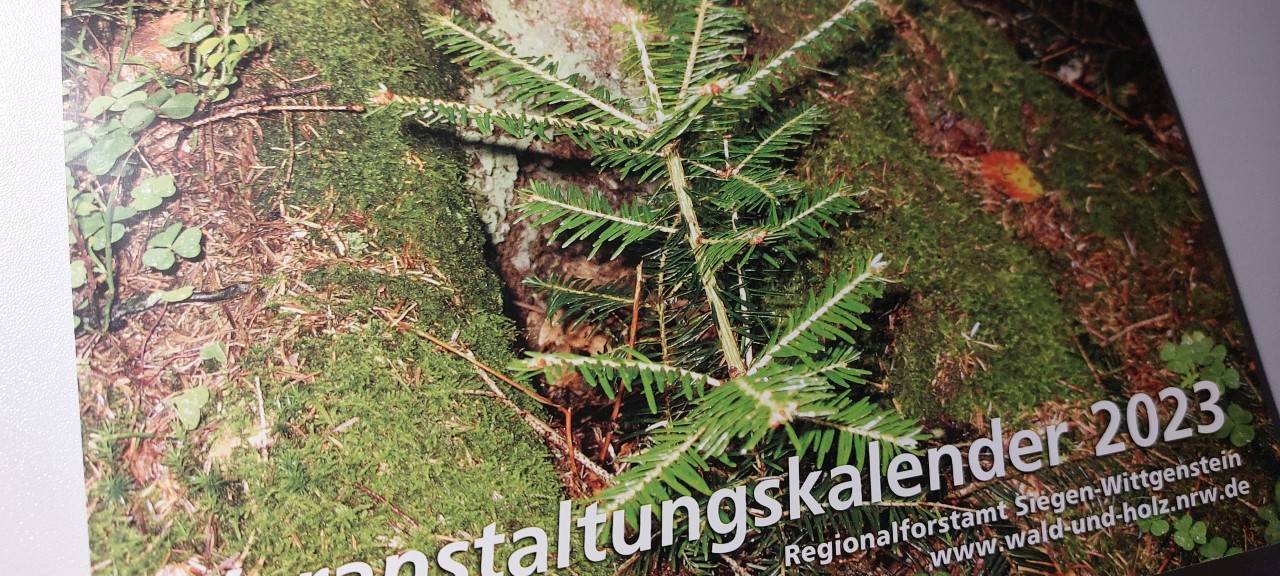 Waldland Hohenroth 2023