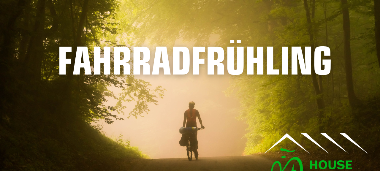 Fahrradfahrerin im Wald