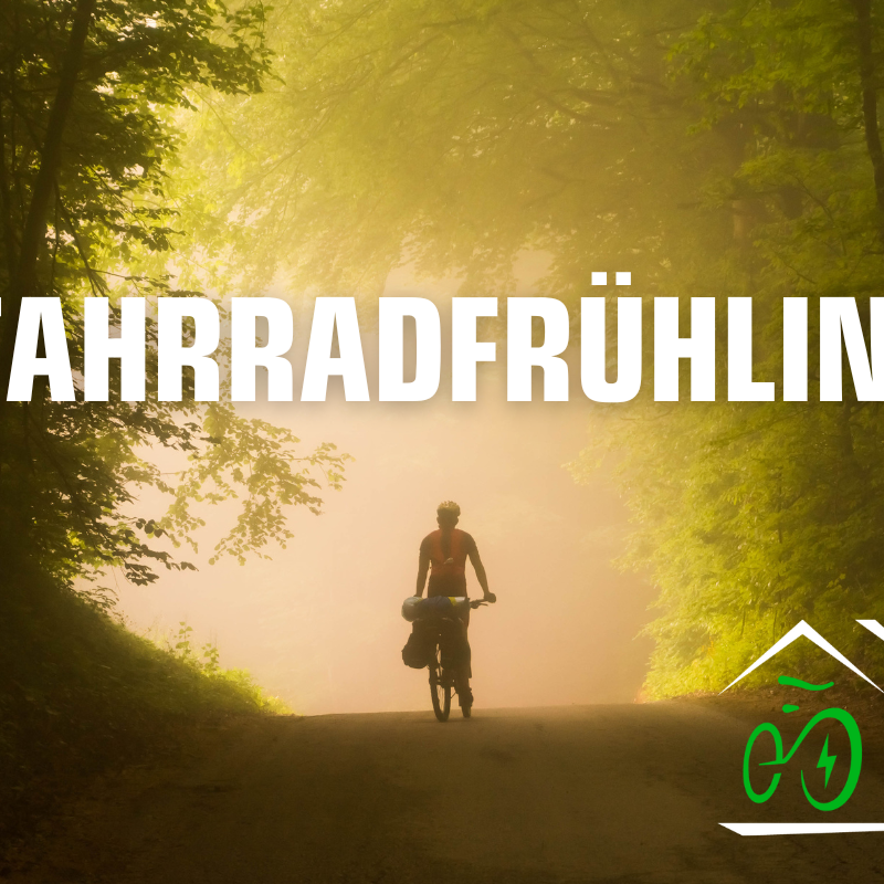 Fahrradfahrerin im Wald