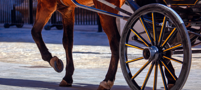 Kutschunfall in Wittgenstein