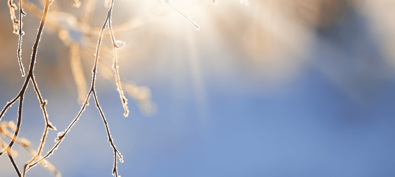 Dezember war zu warm und trocken