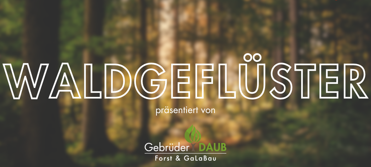 Waldgeflüster bei Radio Siegen