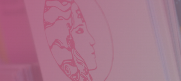 Sexualisierte Gewalt in Siegen-Wittgenstein