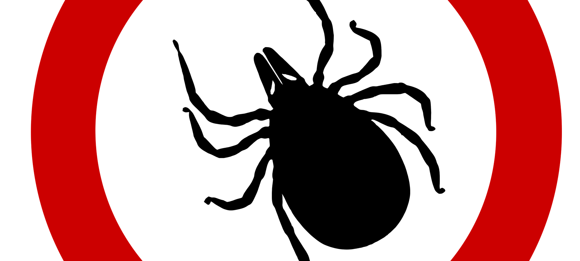 Tropische Riesenzecke überträgt Fleckfieber im Raum Siegen